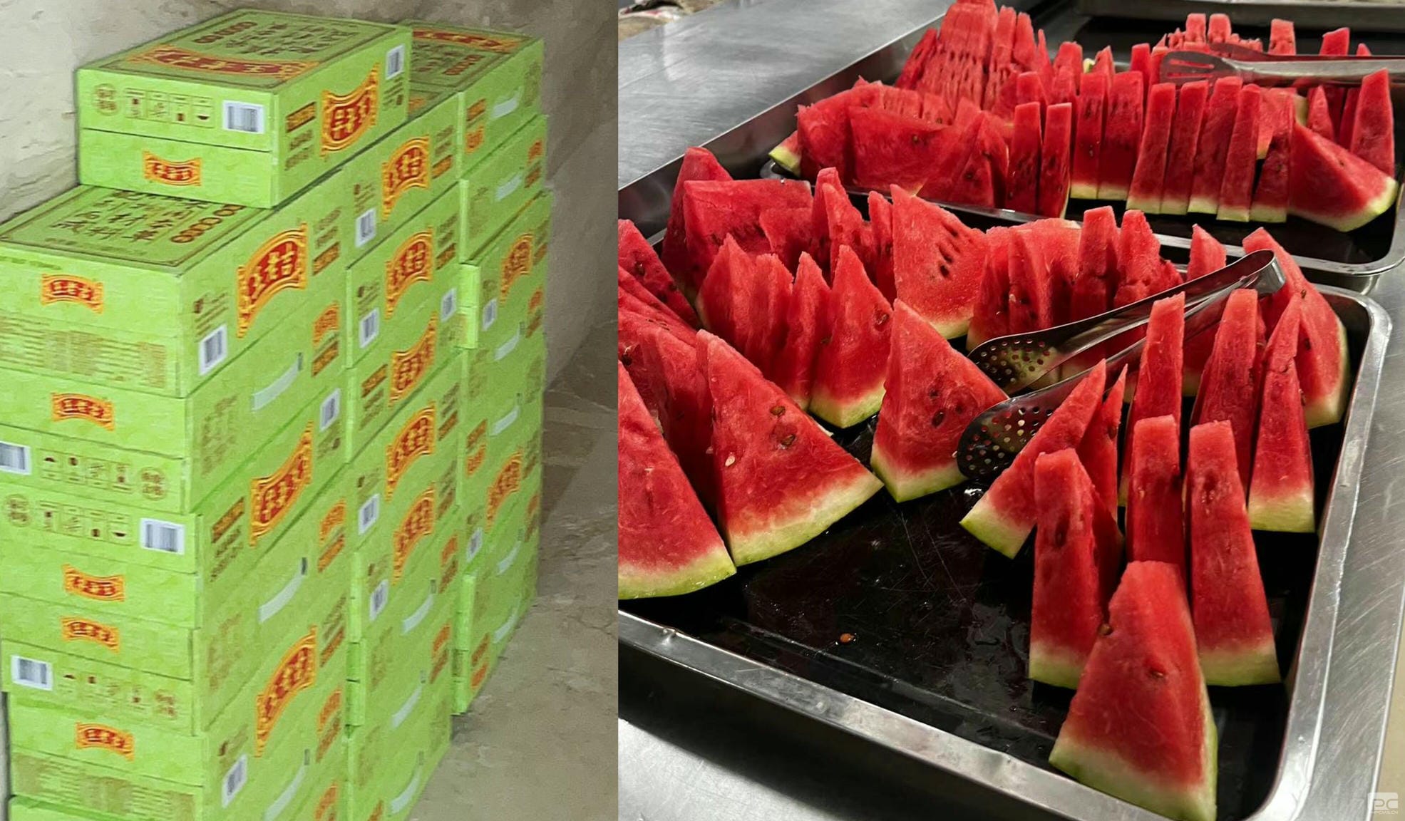 ʱ- ٷվ