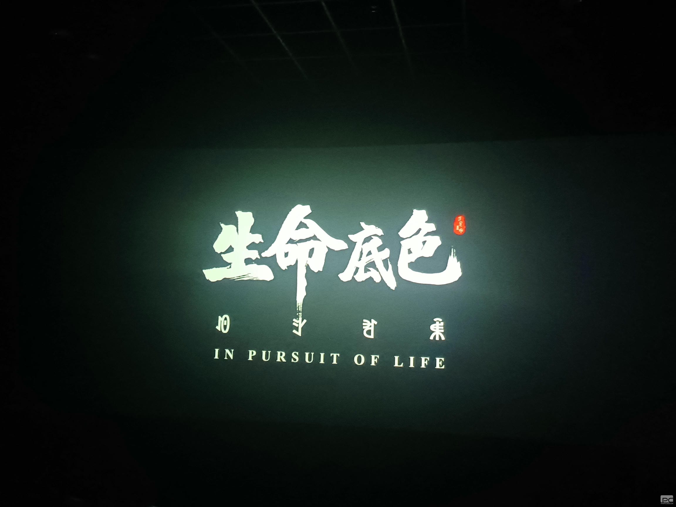 ʱ- ٷվ