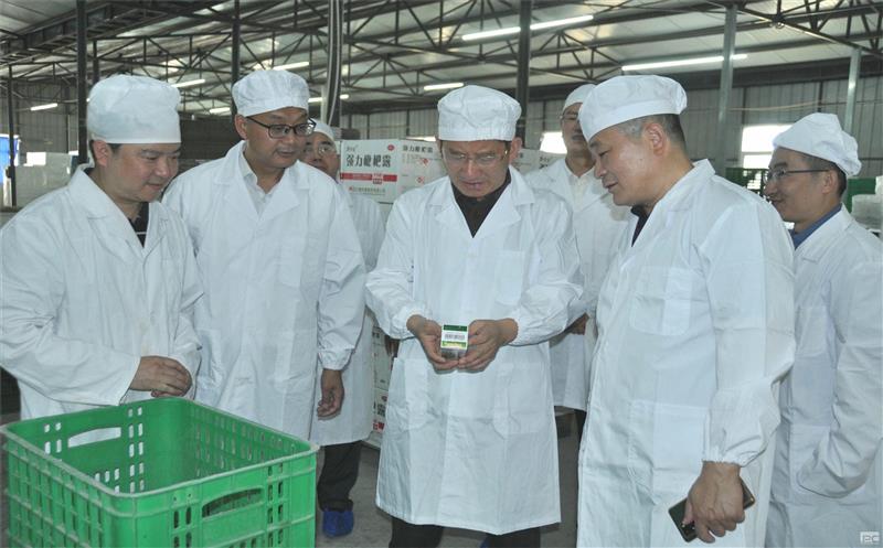 ŵίίԱְ¡ϯŴïһи̩ҩָ