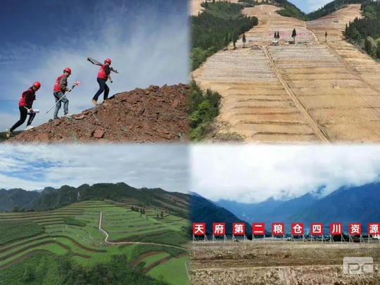 ×ðÁú¿Ê±- ¹Ù·½ÍøÕ¾