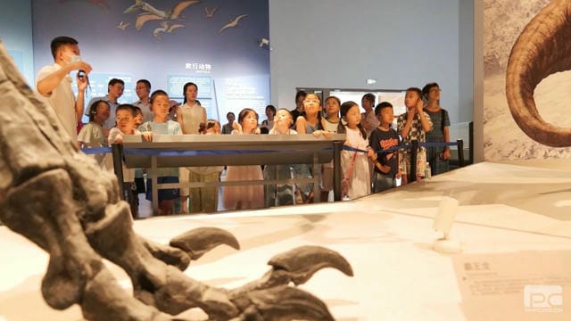 尊龙凯时- 官方网站